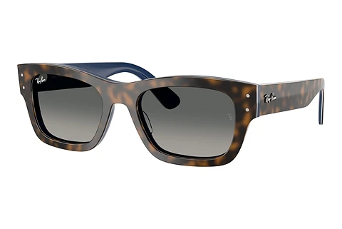 solbrille Ray-Ban JOSEPH (RB7683S 140171)