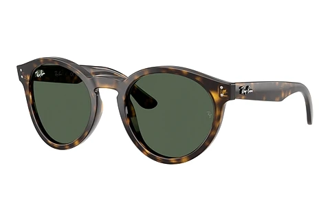 Solglasögon Ray-Ban RBR0505S 6790VR