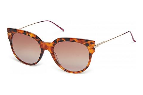 Sonnenbrille Scotch and Soda 507005 104