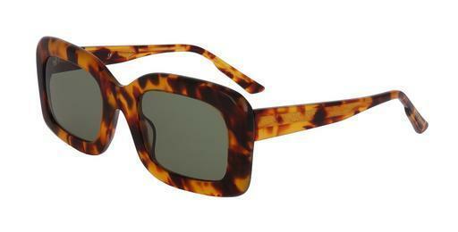 Ophthalmic Glasses Scotch and Soda 507008 121