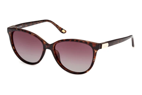 Ophthalmic Glasses Skechers SE00173 47H