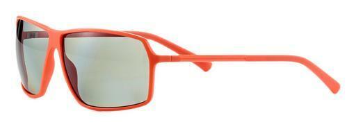 Sonnenbrille Strellson ST6203 300