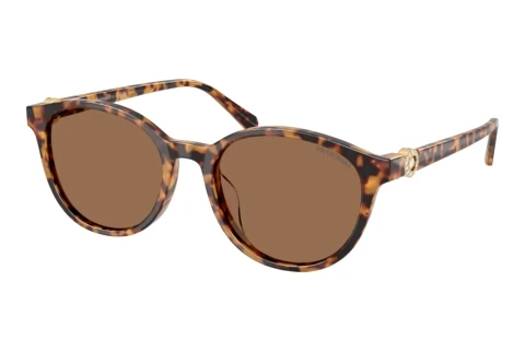 Ophthalmic Glasses Swarovski SK6075D 104073