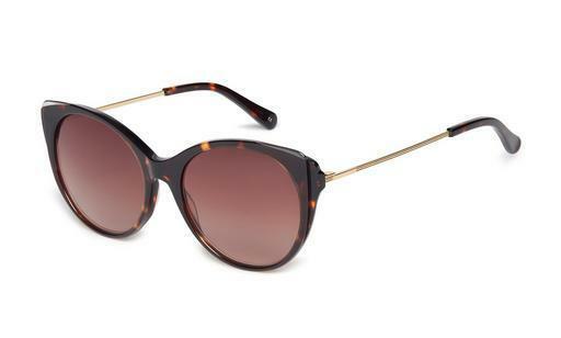 Sonnenbrille Ted Baker 1589 179