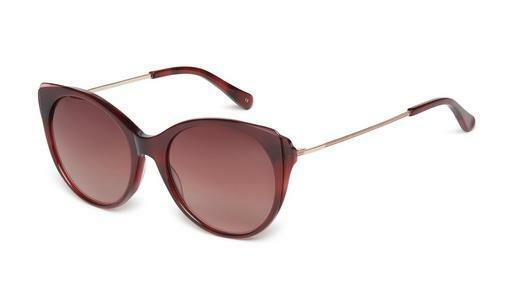 Sonnenbrille Ted Baker 1589 249