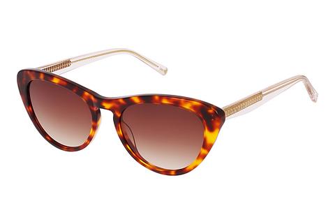 Sonnenbrille Ted Baker 1690 100