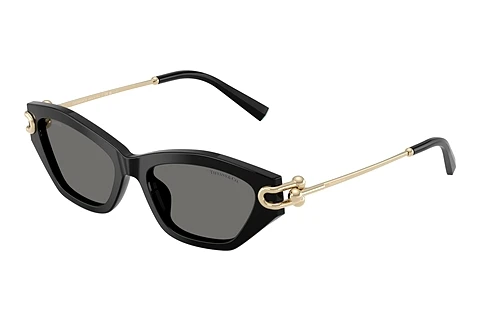 Akiniai nuo saulės Tiffany TF4231U 800181