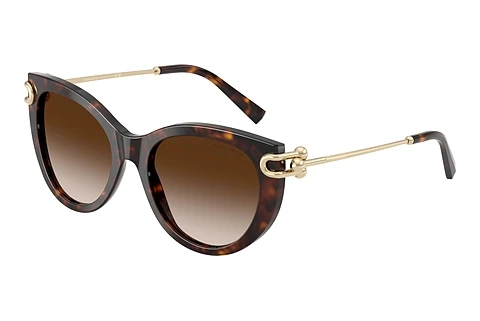 Solglasögon Tiffany TF4232 80153B