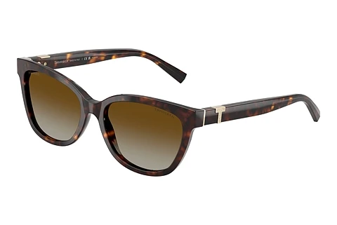 Solglasögon Tiffany TF4237B 8015T5