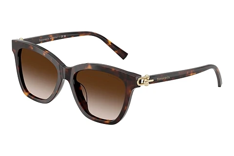 Tiffany TF4241D 80153B Napszemüveg