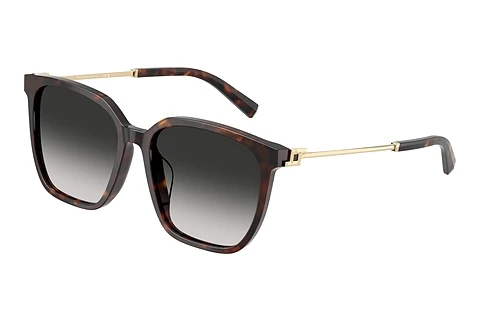 Päikeseprillid Tiffany TF4244D 80153C