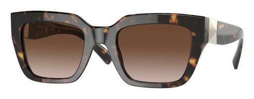 Sunglasses Valentino VA4097 500213
