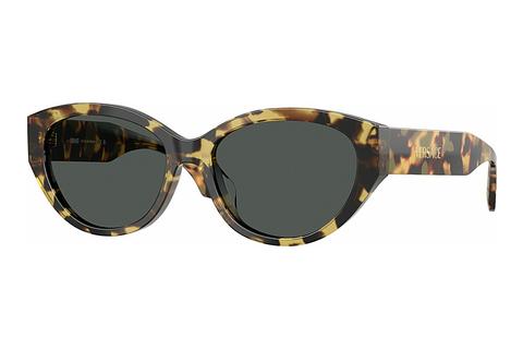 Sonnenbrille Versace VE4495D 777/87