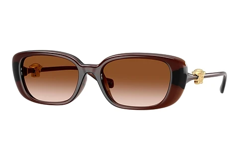 Akiniai nuo saulės Versace VE4504D 533213
