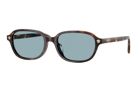 Aurinkolasit Versace VE4514D 553780
