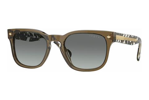 Päikeseprillid Vogue Eyewear VO5571S 314411