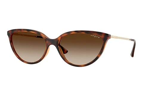 Akiniai nuo saulės Vogue Eyewear VO5672S W65613