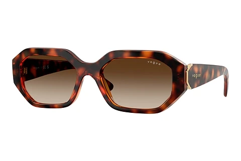 Solglasögon Vogue Eyewear VO5675S W65613