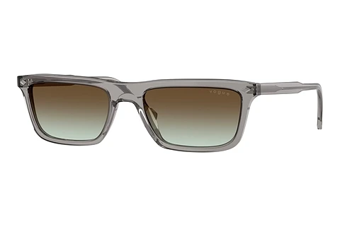Solglasögon Vogue Eyewear VO5687S 2820E8