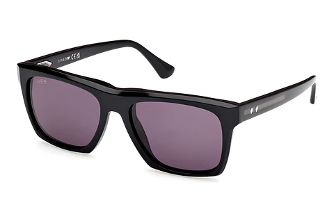 Akiniai nuo saulės Web Eyewear WE0350 05A