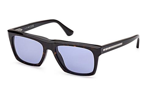 Sonnenbrille Web Eyewear WE0350 56V