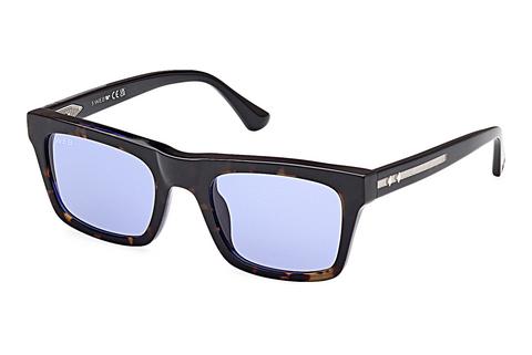 Sonnenbrille Web Eyewear WE0362 56V