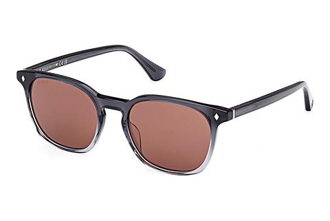 Sonnenbrille Web Eyewear WE0364 20S