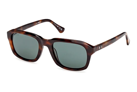 Saulesbrilles Web Eyewear WE0389 52N