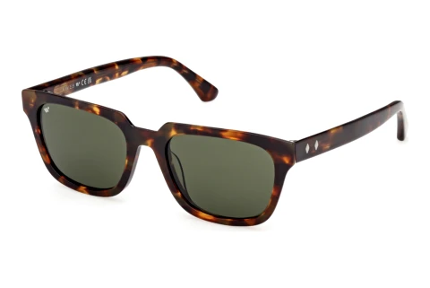 Web Eyewear WE0391 52N Napszemüveg