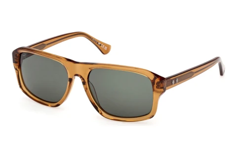 Web Eyewear WE0393 39N Napszemüveg