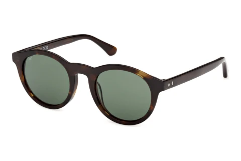 Sluneční brýle Web Eyewear WE0398 52N