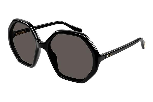 Sonnenbrille Chloé CC0004S 007