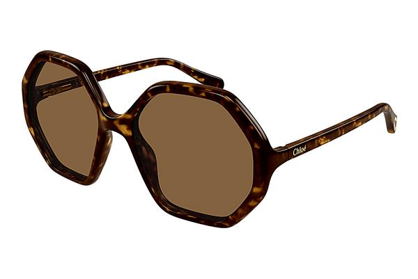 Sonnenbrille Chloé CC0004S 008