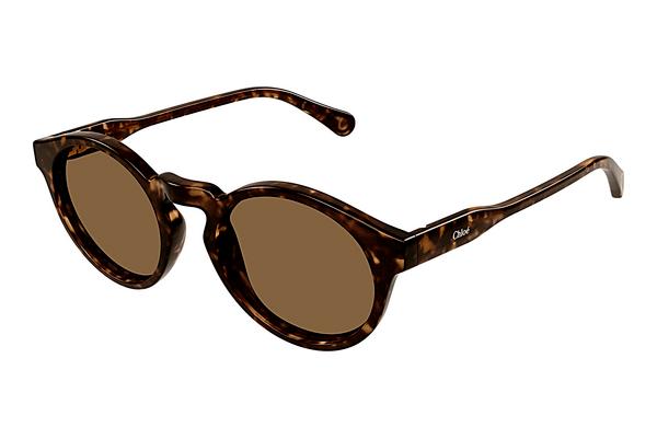 Sonnenbrille Chloé CC0014S 006