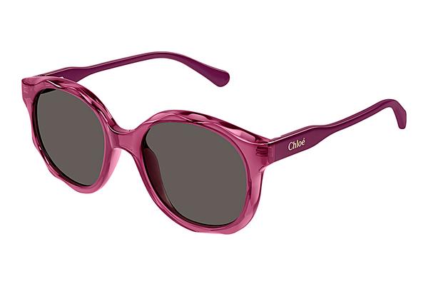 Sonnenbrille Chloé CC0019S 003