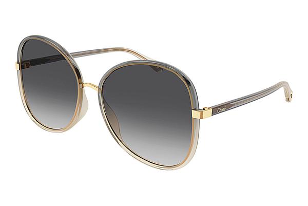 Sonnenbrille Chloé CH0030S 001