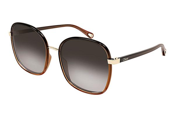 Lunettes de soleil Chloé CH0031S 005