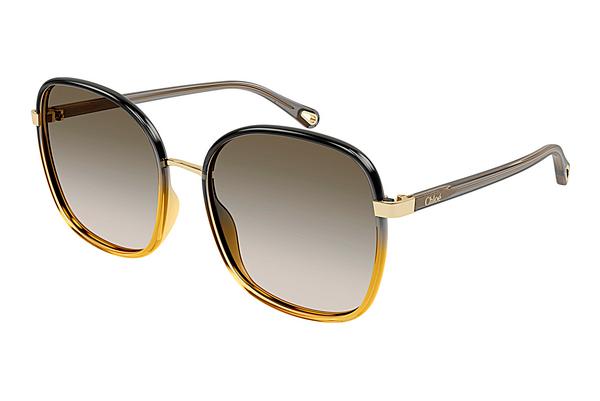 Sonnenbrille Chloé CH0031S 010