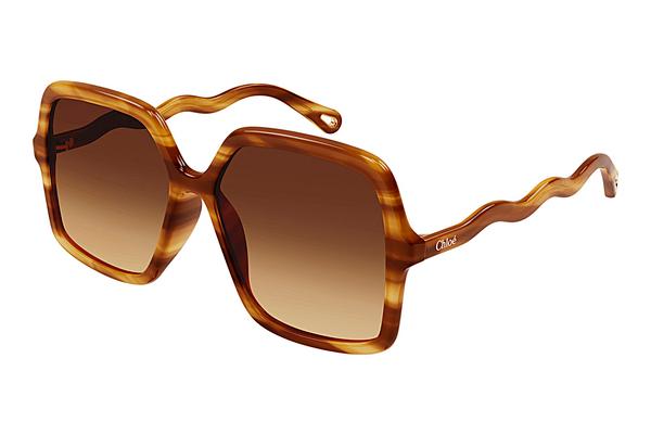 Sonnenbrille Chloé CH0086S 002