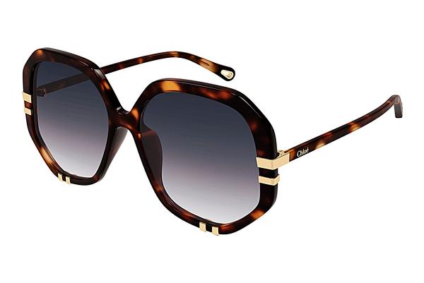 Sonnenbrille Chloé CH0105S 004