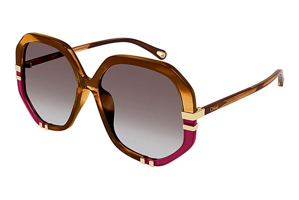 Sonnenbrille Chloé CH0105S 009