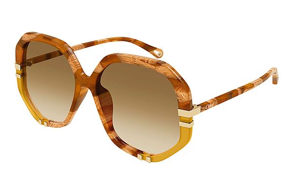 Sonnenbrille Chloé CH0105S 011