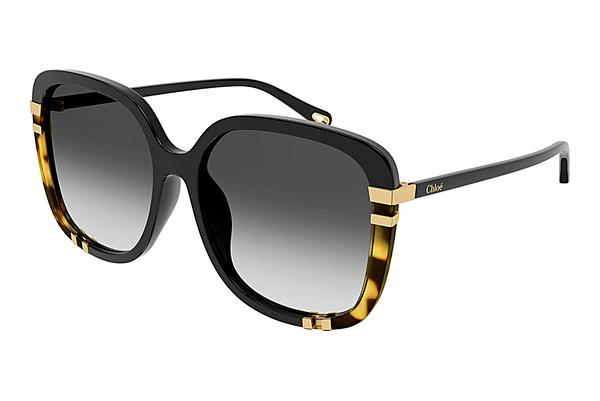 Sonnenbrille Chloé CH0106SA 002