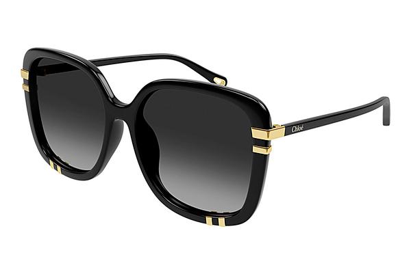 Sonnenbrille Chloé CH0106SA 005