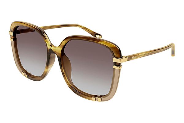 Sonnenbrille Chloé CH0106SA 006