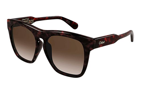 Sonnenbrille Chloé CH0149SA 002