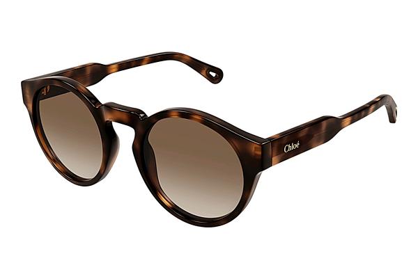 Sonnenbrille Chloé CH0158S 002