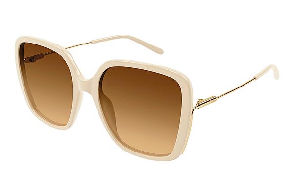 Sonnenbrille Chloé CH0173S 005