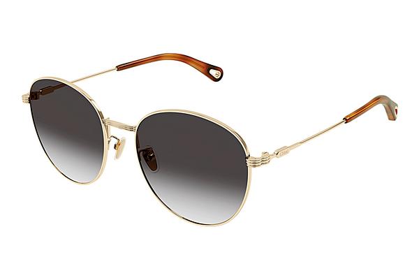 Sonnenbrille Chloé CH0181SK 001