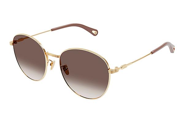 Sonnenbrille Chloé CH0181SK 002